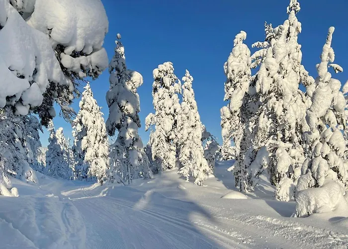 Amazing In With Sauna Feriehus